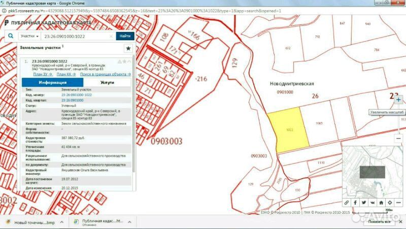 Публичная кадастровая карта новодмитриевская
