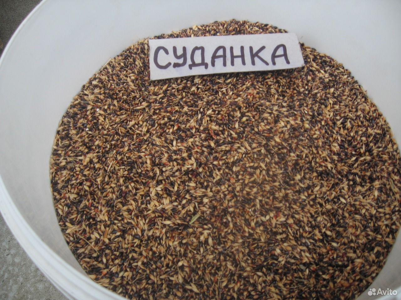 Купить Семена Суданки В Краснодарском Крае