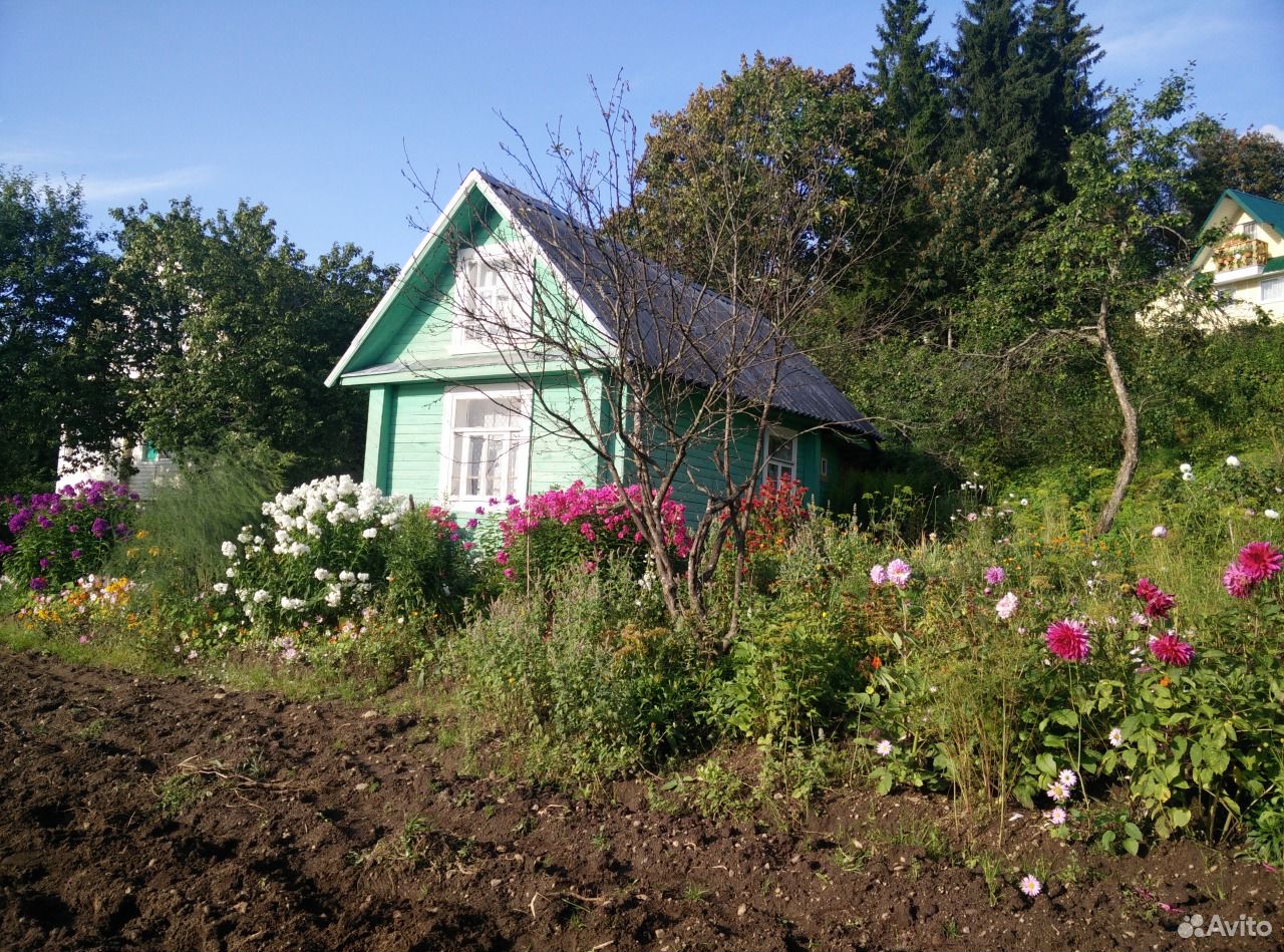 Новгородском Область Купить Дом Дачу