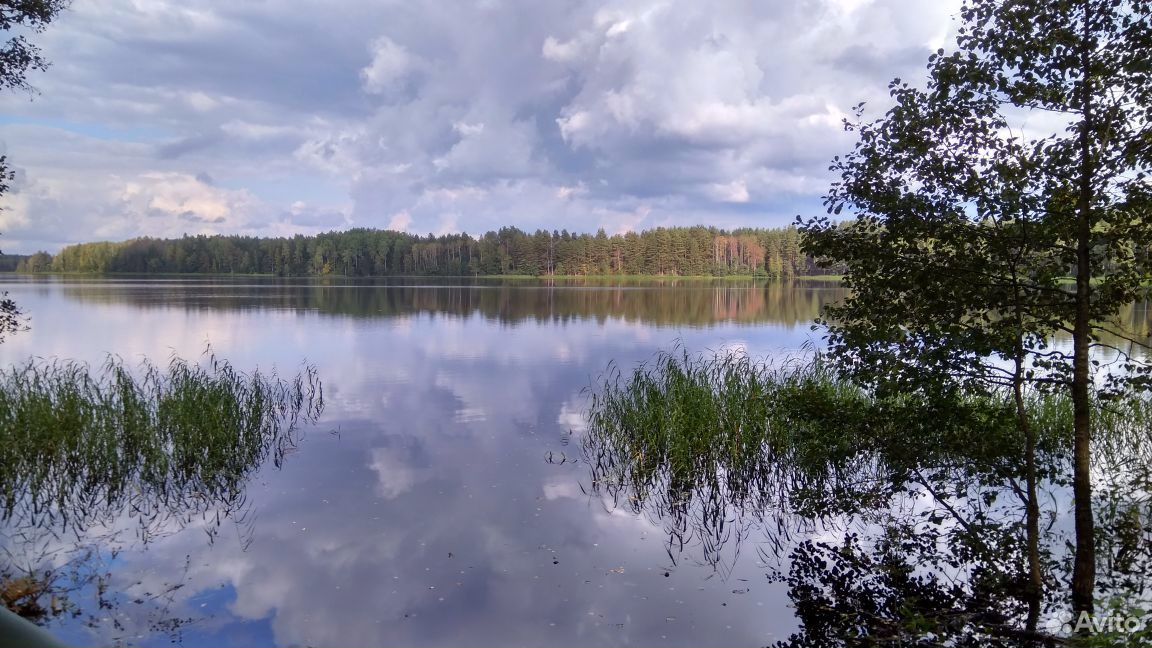 Озеро серебряное псковская область гдовский район