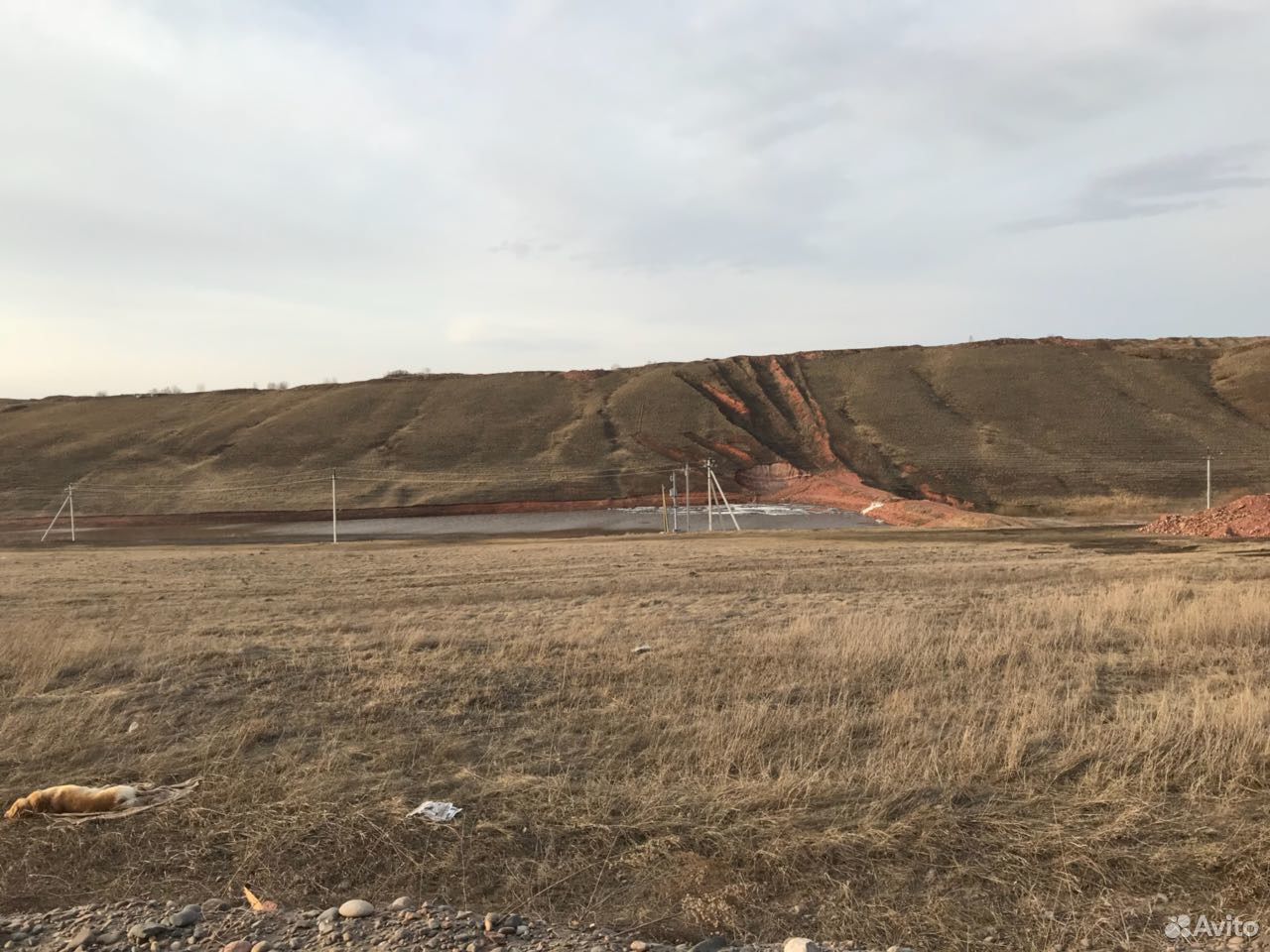 Поселок Кедровый Красноярский край. П Кедровый Красноярский край Емельяновский.