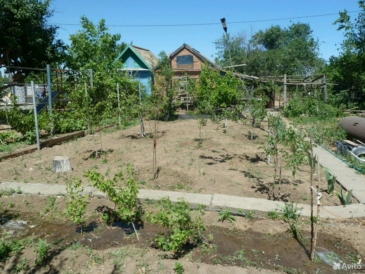 Дом дача астрахань. Дача в Астрахани. Дачная Астрахань. Шестой микрорайон Астрахань. Садовая Астрахань.