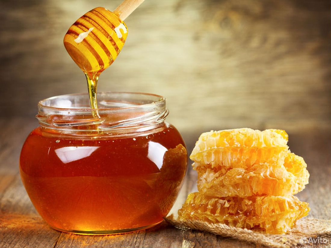 Продаю мёд купить на Зозу.ру - фотография № 1