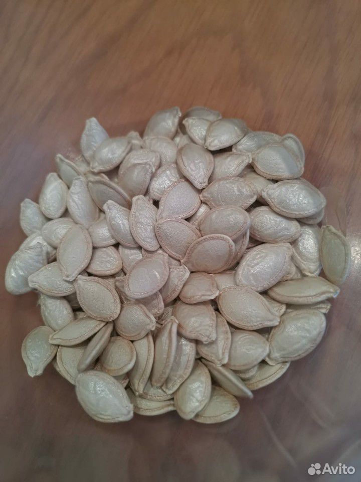 Кабачок (семена для рассады) купить на Зозу.ру - фотография № 2