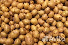 Кормовой картофель купить на Зозу.ру - фотография № 1
