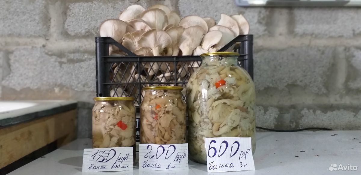 Продам грибы маринованные купить на Зозу.ру - фотография № 2