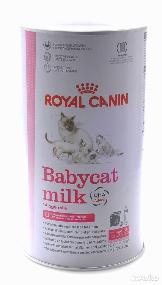 роял молоко для котят. роял молоко для котят. Royal canin молоко для котят. роял молоко для котят. роял молоко для котят.
