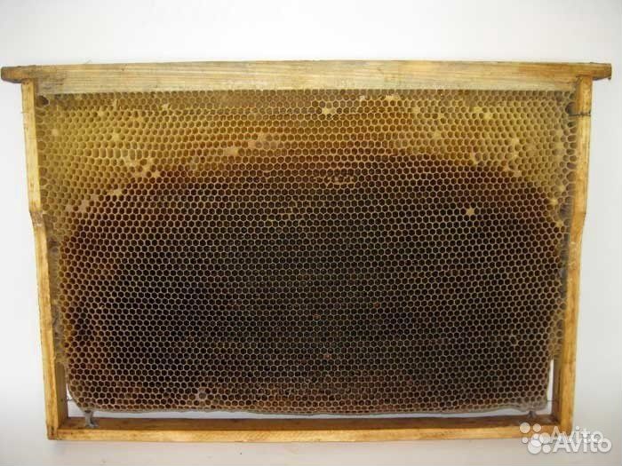 Сушь для пчел (рамка Рута, на 230) купить на Зозу.ру - фотография № 3