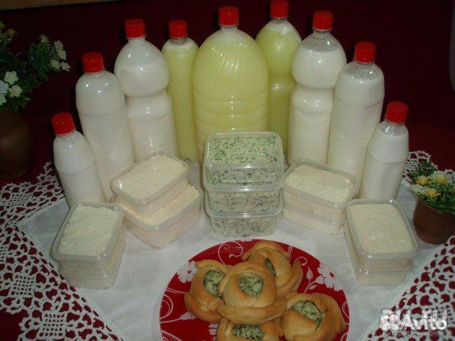 Козье молоко, твердый мягкий сыр купить на Зозу.ру - фотография № 1