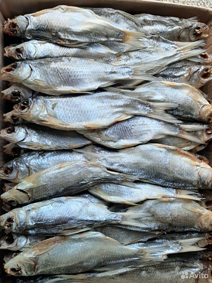 Астраханская вяленая рыба купить на Зозу.ру - фотография № 1