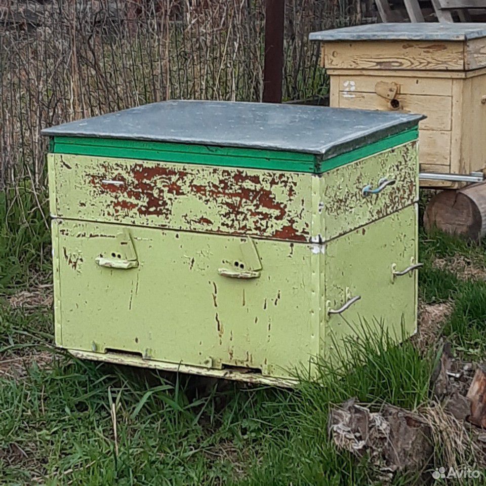 Улей с пчёлами купить на Зозу.ру - фотография № 3