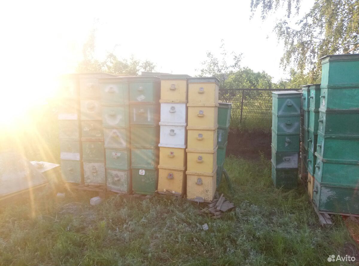 Улей для пчел ульи купить на Зозу.ру - фотография № 2
