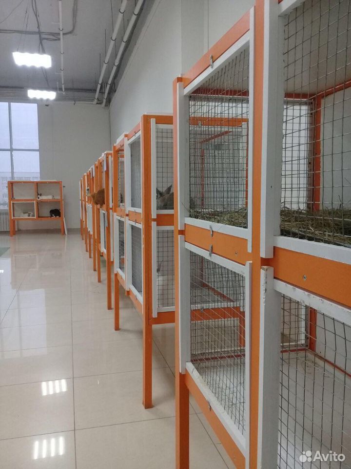 Продам клетки из под животных. аккуратные чистые купить на Зозу.ру - фотография № 1