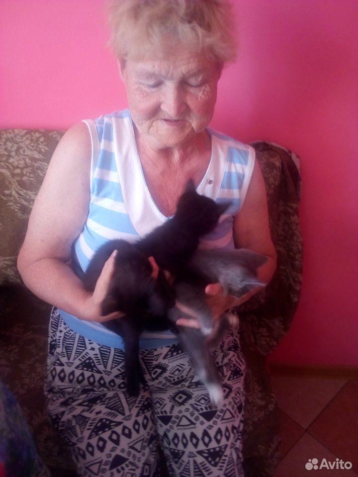 Котята бесплатно, в хорошие руки купить на Зозу.ру - фотография № 5