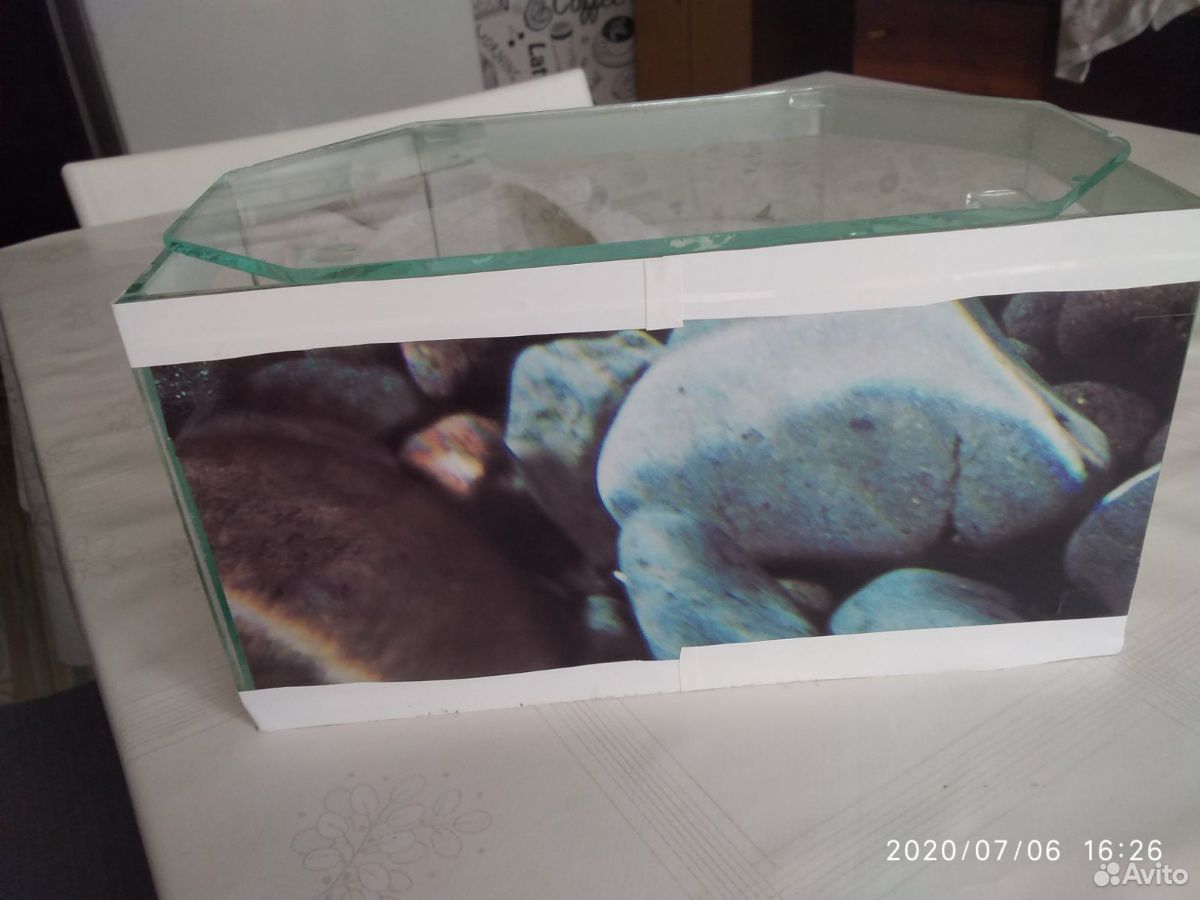 Черепаха красноухая+ аквариум купить на Зозу.ру - фотография № 3