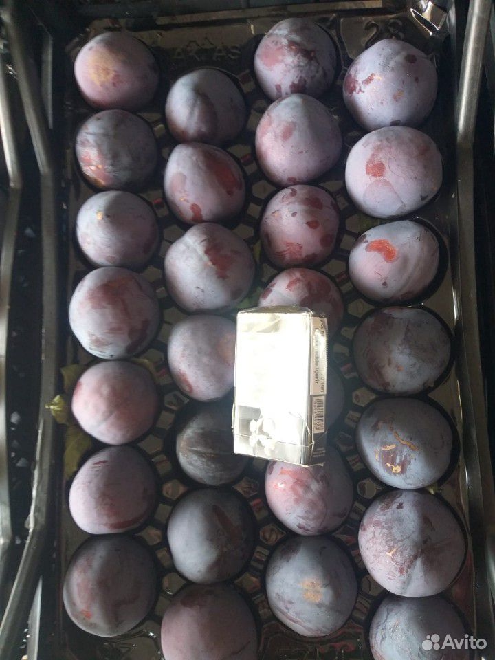 Яблоки,цитрусы,косточка,гранат купить на Зозу.ру - фотография № 9