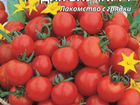 Рассада помидоры, перцы, арбузы, дыни, цветы, капу объявление продам