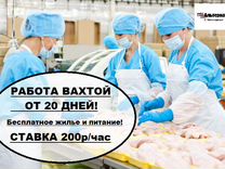 Токаревка Тамбовская Область Магазины Токаревка Тамбовская Область Магазины