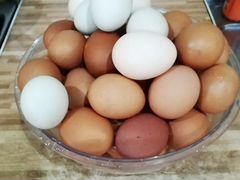 Инкубационное куриной яйцо