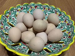 Яйца инкубационные цесарок
