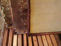 Рамки с вощиной сушь пчелиная и ульи с корпусами