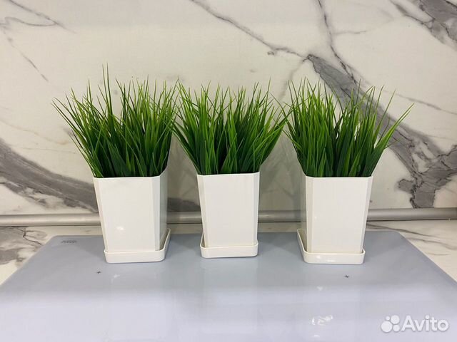 Зелень в кашпо