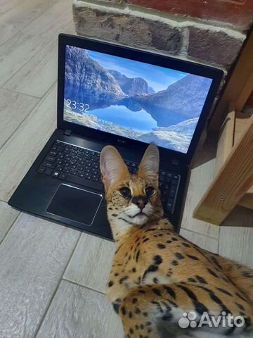 Игровой core i5. озу 8гб. ssd 500гб. с гарантией