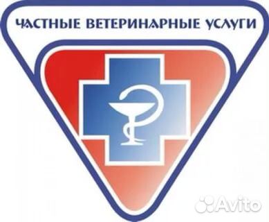 Телефон регистратуры кингисеппской поликлиники