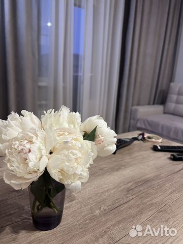 

Квартира-студия, 26 м², 1 кровать