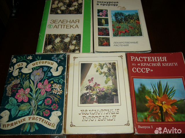 Атлас Лекарственных Растений Ссср 1962 Купить