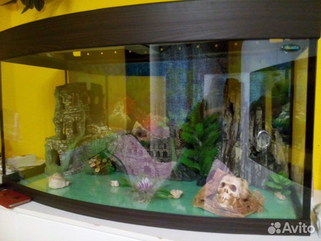 Полностью готовый аквариум купить на Зозу.ру - фотография № 5