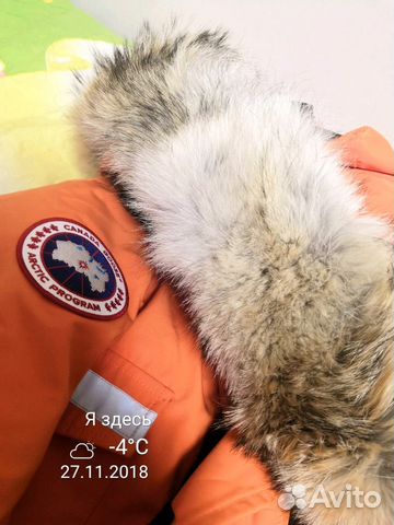 Canada goose Resolute Canada goose Resolute