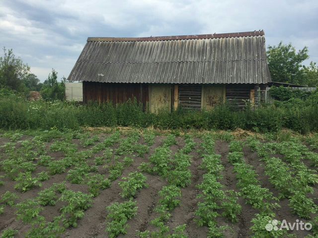 Барахолка дубенки. Дубёнки Мордовия. Пуркаево фото.