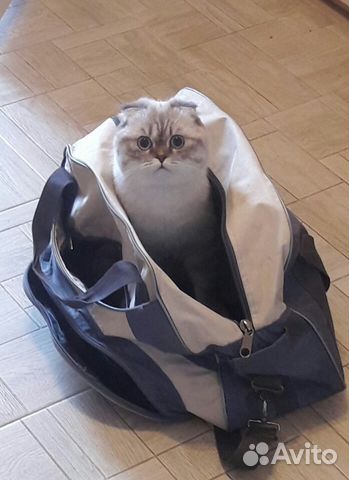Вязка