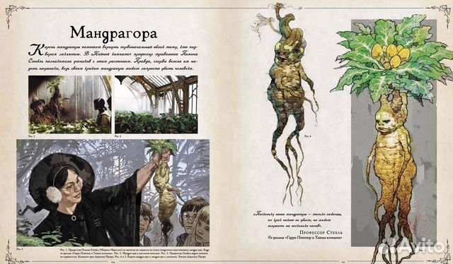 Гарри Поттер. Фантастические существа Гарри Поттер. Фантастические существа