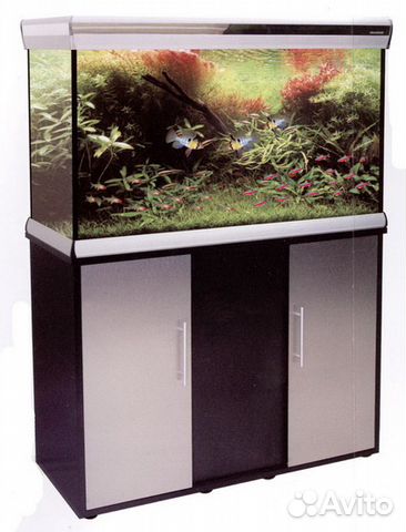 Аквариумы anubias прямоугольные 245 и 290л (новые)