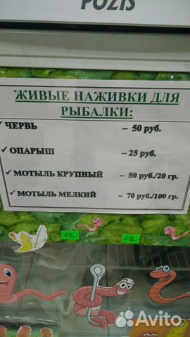 Червь Мотыль опарыш купить на Зозу.ру - фотография № 2