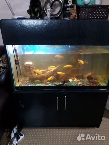 Продам встроинный аквариум на 360литров со всем со