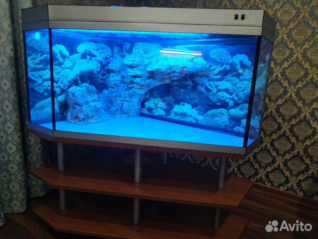 Аквариум 400 литров и 200л Аквариум 400 литров и 200л
