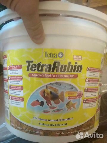 Tetra rubin