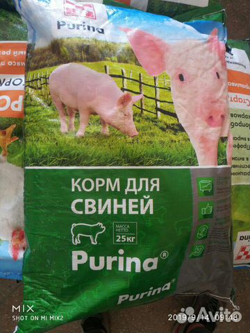 Purina комбикорм и кормовые добавки купить на Зозу.ру - фотография № 1