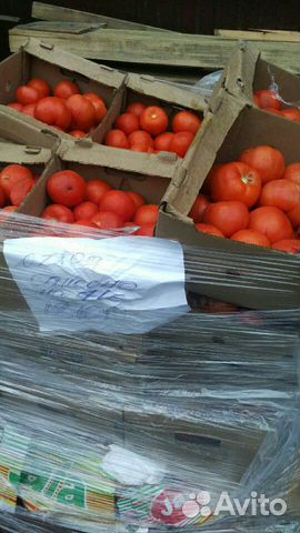 Овощи, фрукты, Капуста на корм животным.Картофель купить на Зозу.ру - фотография № 7