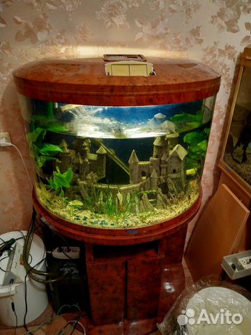 Аквариум панарама jebo