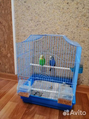 Клетка для птиц. Волнистые попугаи купить на Зозу.ру - фотография № 4