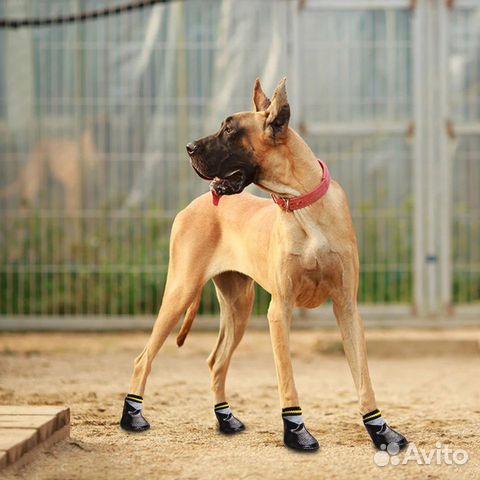 Обувь для большой собаки купить на Зозу.ру - фотография № 5