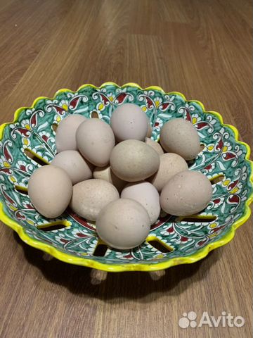 Яйца инкубационные цесарок купить на Зозу.ру - фотография № 1