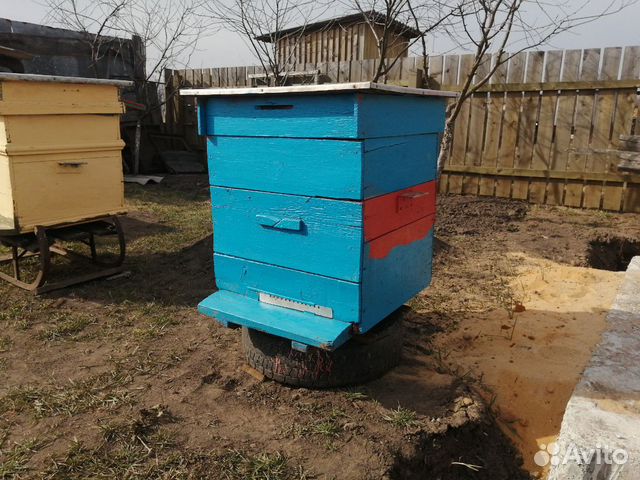 Продам улей и полный комплект пчеловода купить на Зозу.ру - фотография № 3