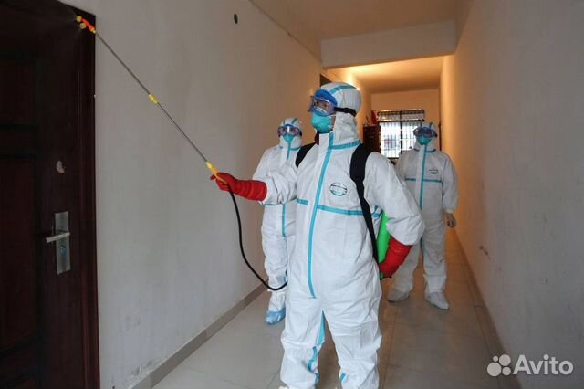 Уничтожение тараканов, клопов, блох, клещей