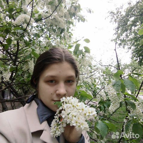 Веб-дизайнер Веб-дизайнер