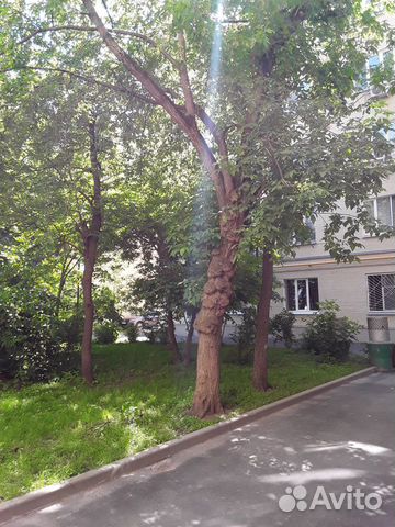 Комната 21.3 м² в 3-к, 4/5 эт. Комната 21.3 м² в 3-к, 4/5 эт.